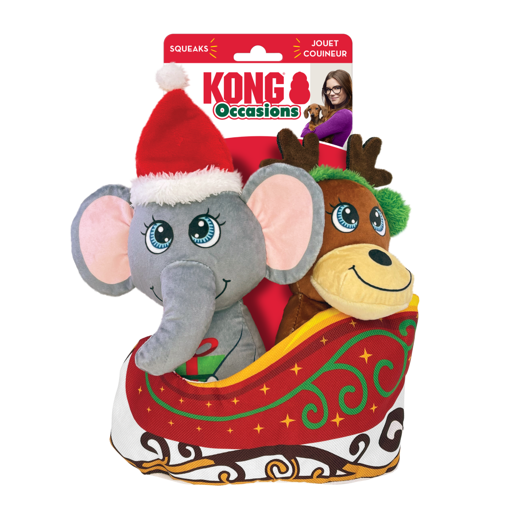 kong-holiday-occasions-sleigh
